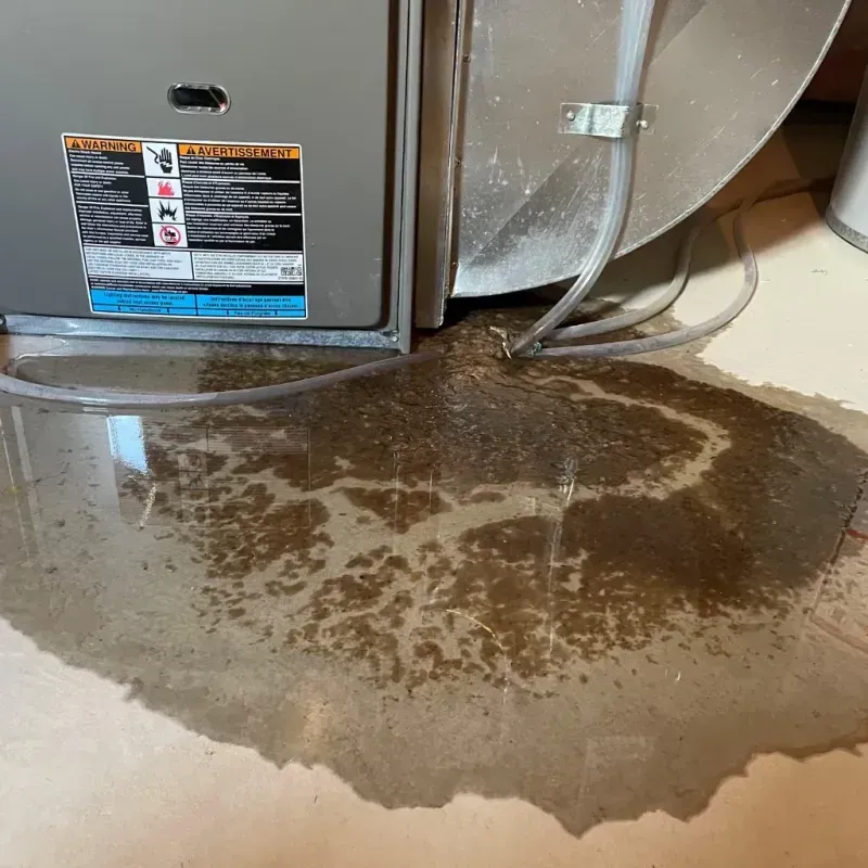 Appliance Leak Cleanup in Edinburgh, IN